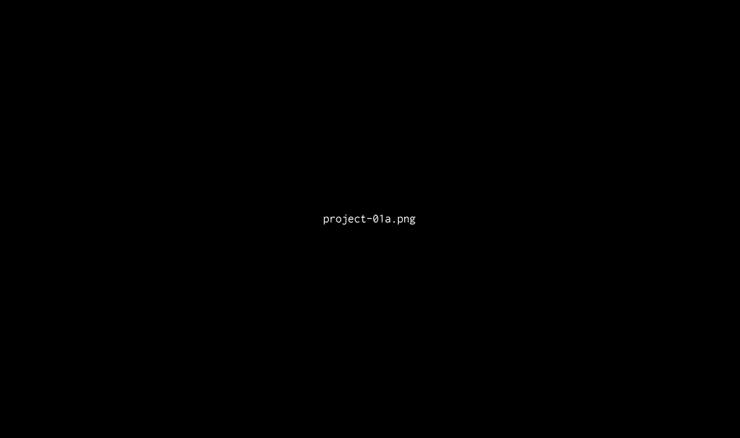 Project 01a